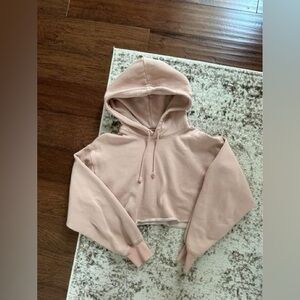Aritzia TNA Sweatset